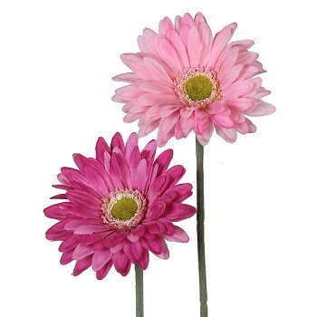 Deko Gerbera rosa Ton-in-Ton 2er-Set 55 cm Seidenblumen Kunstblumen