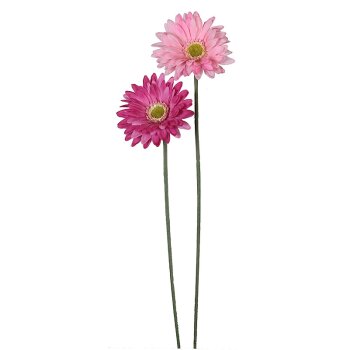 Deko Gerbera rosa Ton-in-Ton 2er-Set 55 cm Seidenblumen...