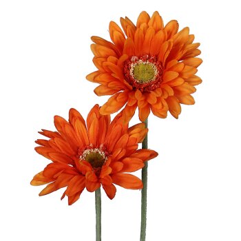 Deko Gerbera orange Ton-in-Ton 2er-Set 55 cm Seidenblumen...