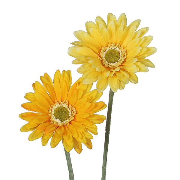 Deko Gerbera gelb Ton-in-Ton 2er-Set 55 cm Seidenblumen Kunstblumen