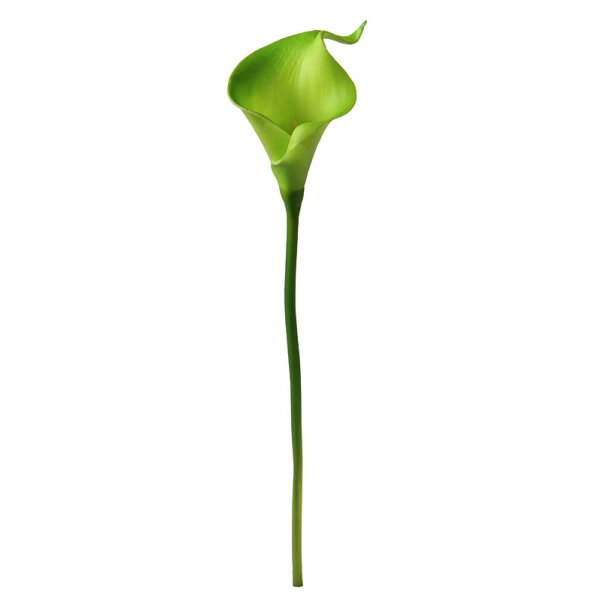 Deko-Calla grün 35 cm