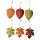 Dekohänger Herbstblätter aus Holz Ahorn und Buche 24-25 cm 6er-Set Laubblätter aus Holz