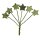 Flittersterne am Draht grün 6er-Bund 10 cm Deko-Sterne Weihnachtsdeko
