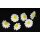 Margeriten-Blüten zum Streuen 3,5 cm Sparpack 50 Stück Streublumen