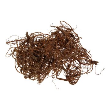 Curly-Moos natur Sparpack 500g
