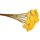 Achillea natur-gelb Großpackung 500 g Schafgarbe Bindereizubehör