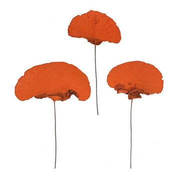 Baumschwamm am Draht orange 5-10 cm