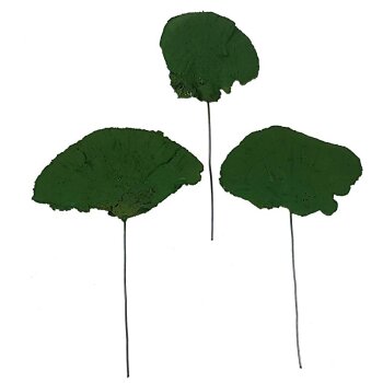 Baumschwamm am Draht laubgrün 5-10 cm