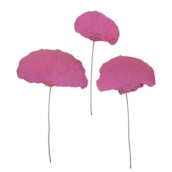 Baumschwamm am Draht fuchsia-pink 5-10 cm