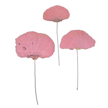 Baumschwamm am Draht rosa 5-10 cm
