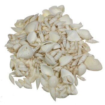 Muschelmix Shell mix white 2-4 cm 950 g Muscheldeko...