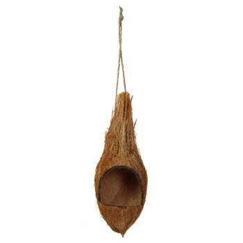 Kokosnuss-Hänger natur 20-24 cm