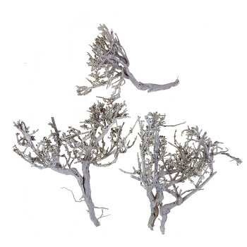 Dry-Tree Zweige weiss gefrostet 500g