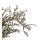 Dry-Tree Zweige natur 500g