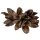 Penca Sororoca natur 25 - 30 cm getrocknete Baum-Strelitzie