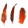 Hahnenfedern chinchilla orange 5-15 cm 12 Stück