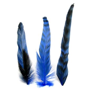 Hahnenfedern chinchilla blau 5-15 cm 12 Stück