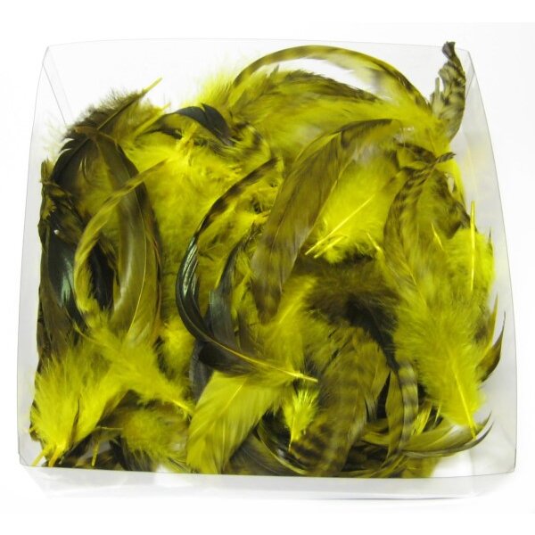 Hahnenfedern chinchilla gelb 5-15 cm Sparpack 10 g