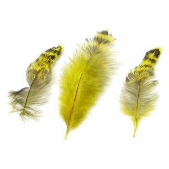 Hahnenfedern chinchilla gelb 5-15 cm 12 Stück