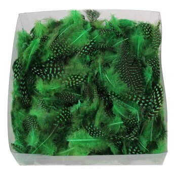Perlhuhnfedern grün 4-6 cm Sparpack 10 g