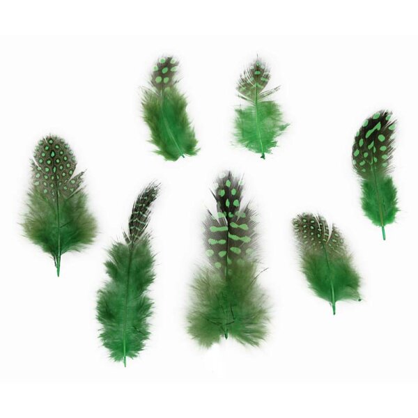 Perlhuhnfedern grün 4-6 cm 30 Stück