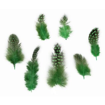 Perlhuhnfedern grün 4-6 cm 30 Stück