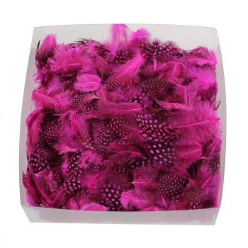 Perlhuhnfedern pink 4-6 cm Sparpack 10 g