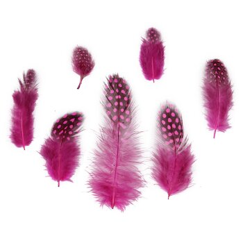 Perlhuhnfedern pink 4-6 cm 30 Stück