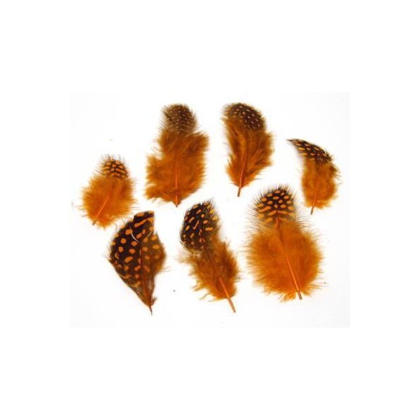 Perlhuhnfedern orange 4-6 cm 30 Stück