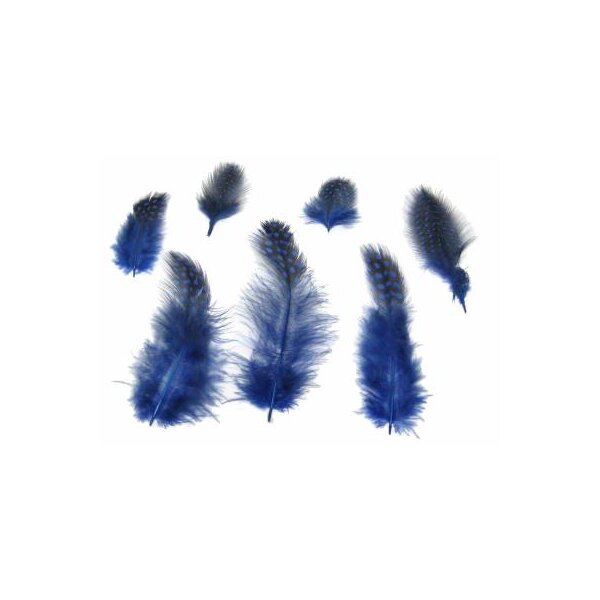 Perlhuhnfedern blau 4-6 cm 30 Stück