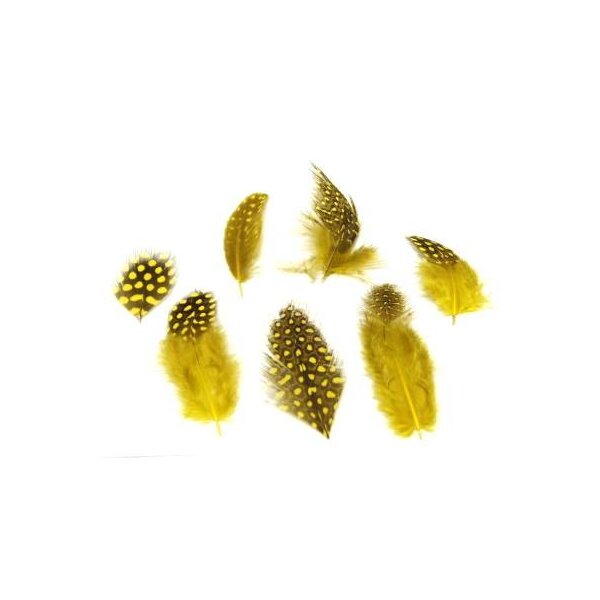 Perlhuhnfedern gelb 4-6 cm Sparpack