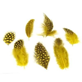 Perlhuhnfedern gelb 4-6 cm 30 Stück