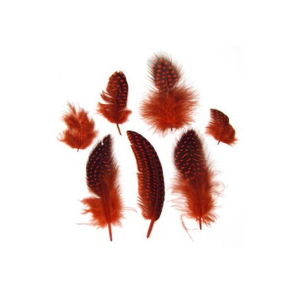 Perlhuhnfedern rot 4-6 cm Sparpack