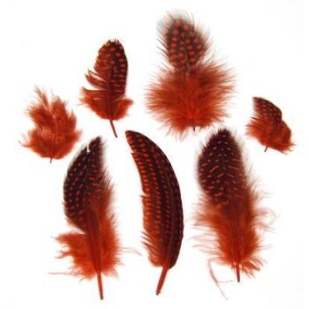 Perlhuhnfedern rot 4-6 cm 30 Stück