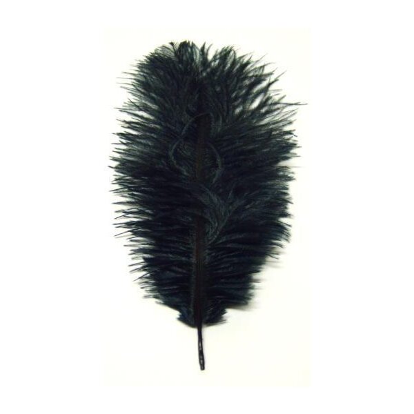 Straußenfedern schwarz 25-35 cm