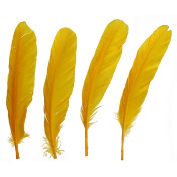 Indianerfedern, Kielfedern goldgelb 15-22 cm