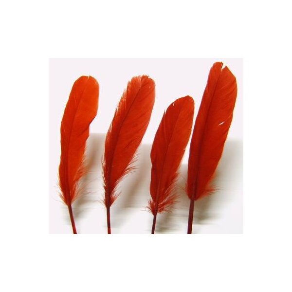 Indianerfedern, Kielfedern rot 15-22 cm