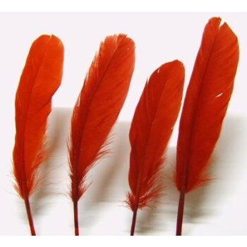 Indianerfedern, Kielfedern rot 15-22 cm