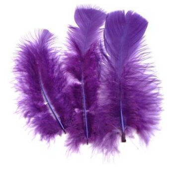 Marabufedern lila