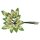 Calla-Blüten creme mit Blatt x 12 Mini-Calla