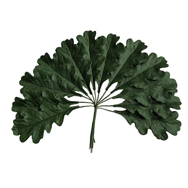 Eichen-Blätter grün am Drahtstiel 12er-Bund 13 cm Eichenlaub-Blätter zum Basteln