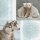 Servietten mit Eisbären und Huskies „Winter wildlife“ 33x33 cm