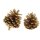 Pinienzapfen Pinus halepensis gold gefärbt