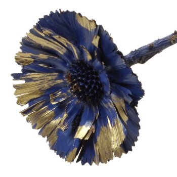 Protea Rosette 6-7 cm blau-gold Exklusiv-Serie