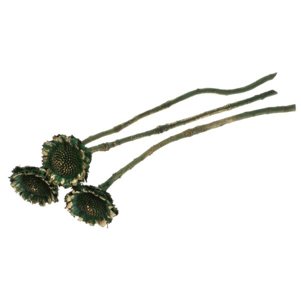 Protea geschnitten laubgrün-gold Exklusiv-Serie