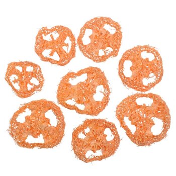 Luffascheiben aprikot gefärbt 8 Stück