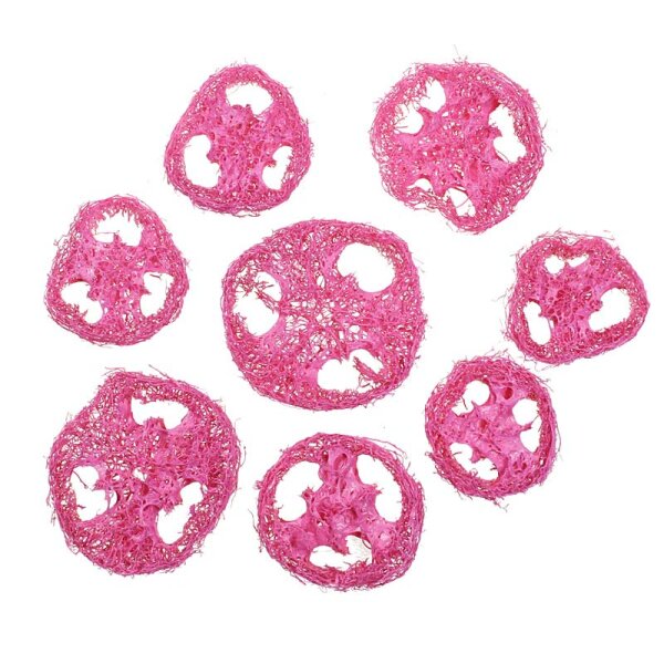 Luffascheiben fuchsia-pink gefärbt 8 Stück