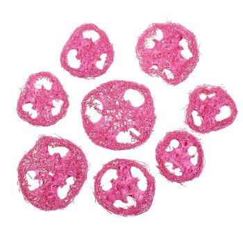 Luffascheiben fuchsia-pink gefärbt 8 Stück