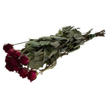 Getrocknete Rosen rot 35-45 cm rote Trockenrosen...