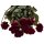 Getrocknete Rosen rot 35-45 cm rote Trockenrosen Trockenblumen